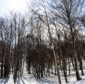 Agata Lagati_Natura e Paesaggio_1