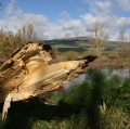 Lorena Cosentino_TEMA Natura e paesaggio02