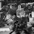 0017_cito_2000_09_08_007_16-palestina_jerusalem-a-cavallo-nel-cimitero